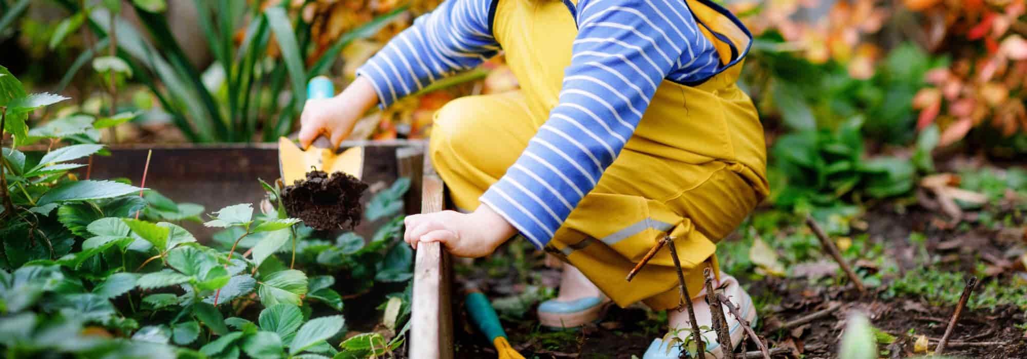 7 consejos para empezar un jardín con los niños