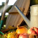 Qué hacer en el jardín en octubre?