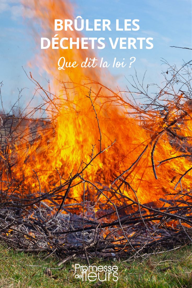 prohibición de quemar los residuos de jardín