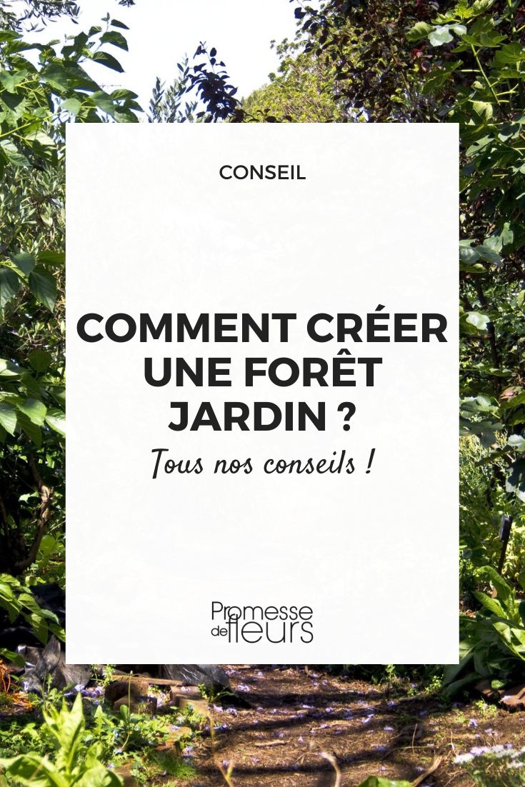 crear un bosque comestible