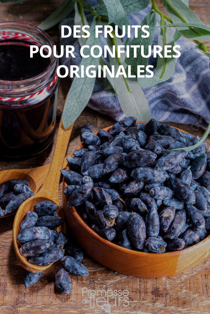 mermeladas y jaleas de frutas originales