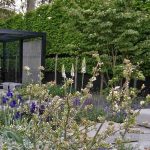 Las plantas perennes que toleran la sequía y el calor para un jardín contemporáneo
