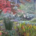 8 plantas de sombra con interés otoñal