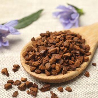 Achicoria: cultivo, beneficios y usos