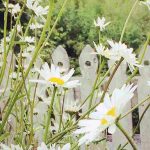 Cottage core: la tendencia que combina el jardín de campo y el dejarse llevar