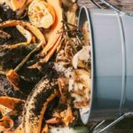 Té de compost: receta y uso en el jardín