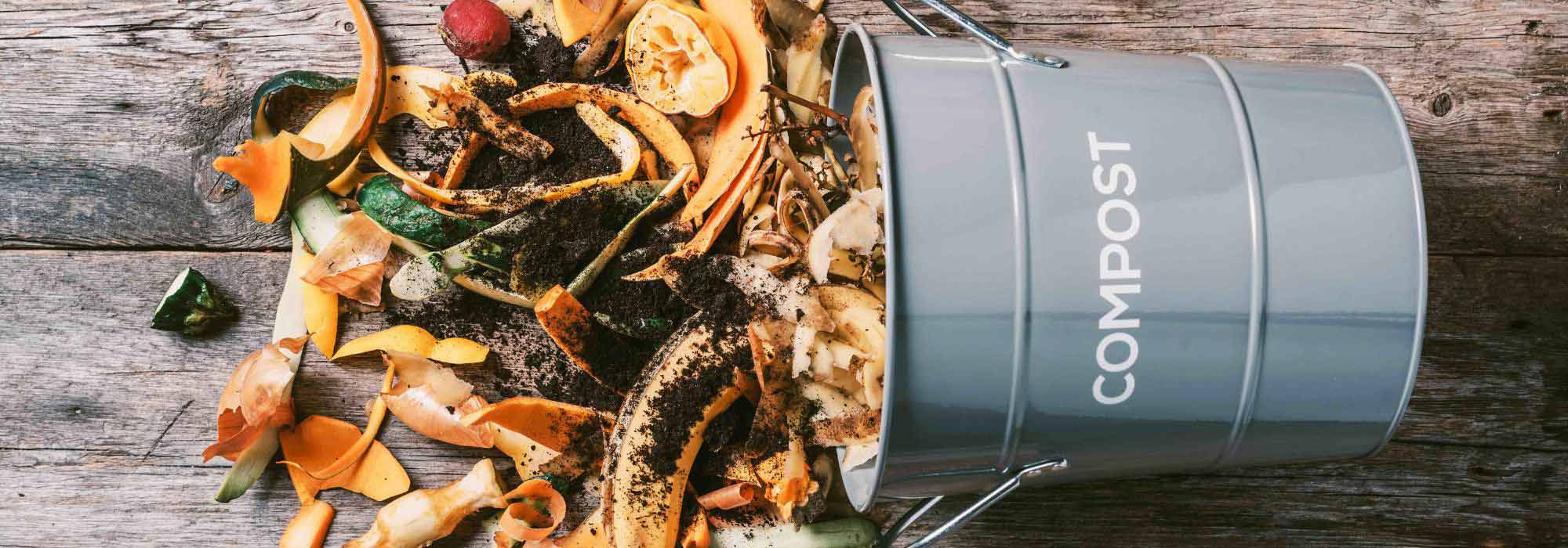 Té de compost: receta y uso en el jardín