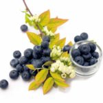 Arándano en arbusto « Yello Berryblue »®