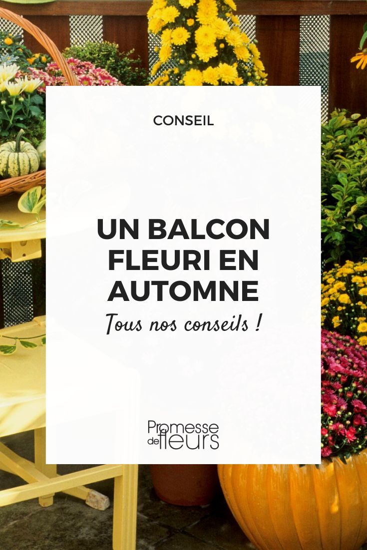 plantas para florecer el balcón en otoño