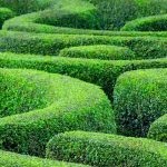 Crea un laberinto en el jardín