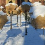 Proteger el jardín del gel con los medios disponibles en casa