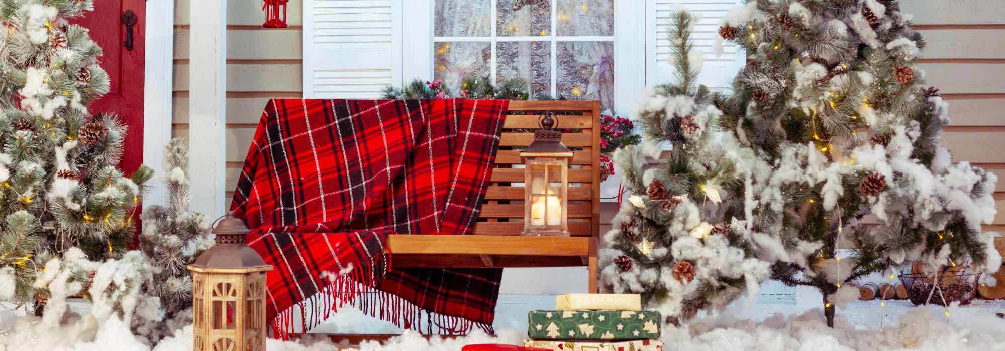 ¿Qué hacer en el jardín en diciembre?