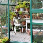 La limpieza otoñal del invernadero