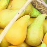 5 variedades de Peral tardías