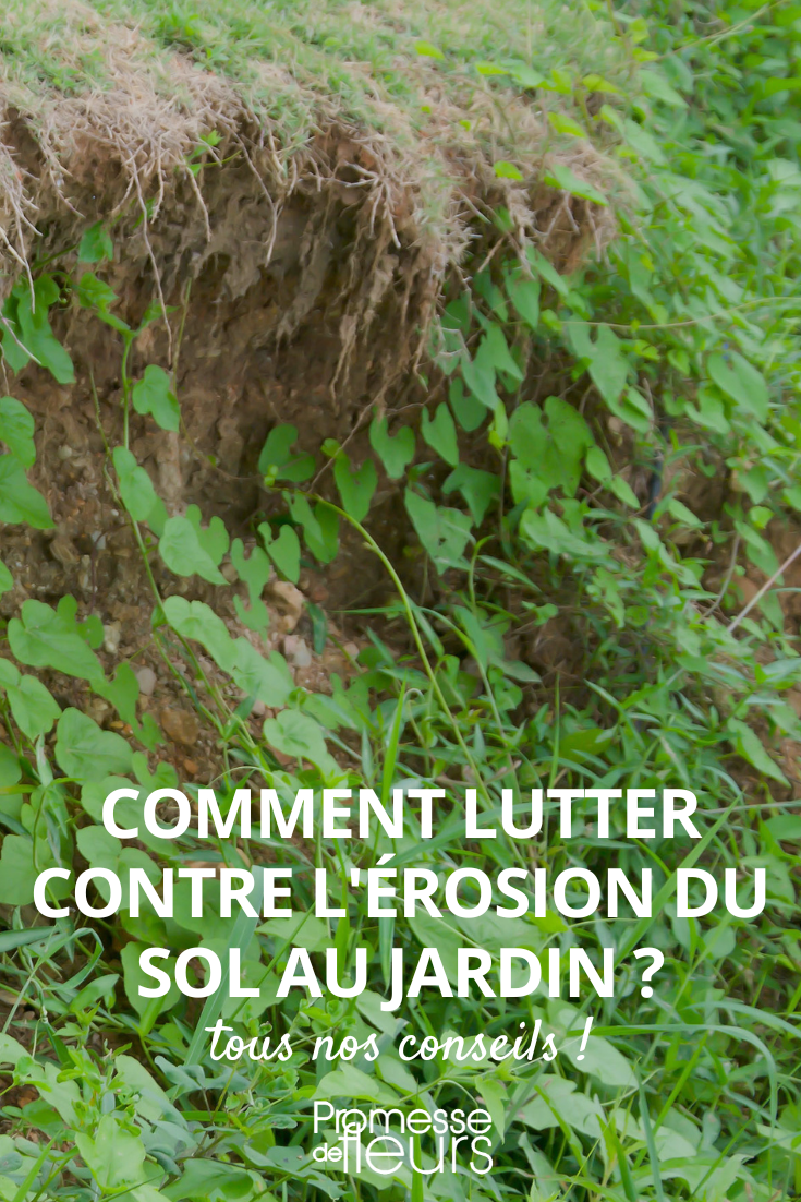 Soluciones contra la erosión en el jardín