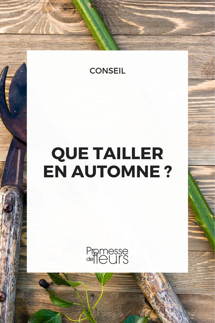 Tamaño y poda para hacer en otoño