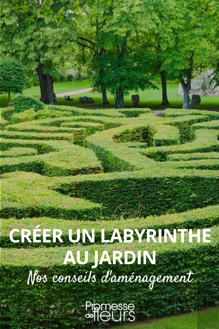 # Crear un laberinto en el jardín, construir un laberinto, diseñar un laberinto

## Introducción
Un laberinto en el jardín añade un toque de misterio y diversión a tu espacio exterior. Ya sea que busques un diseño clásico o algo más moderno, crear un laberinto puede ser un proyecto gratificante para cualquier jardinero.

## Tipos de laberintos
1. **Laberintos de setos**: Tradicionales y elegantes, perfectos para jardines formales
2. **Laberintos de piedra o ladrillo**: Duraderos y de bajo mantenimiento
3. **Laberintos de flores**: Coloridos y aromáticos, ideales para temporadas
4. **Laberintos de césped**: Sencillos pero efectivos

## Pasos para construir tu laberinto
1. **Elige el diseño**: Desde patrones circulares hasta cuadrados
2. **Prepara el terreno**: Nivela y marca el diseño
3. **Selecciona los materiales**: Plantas, piedras o madera
4. **Planta o construye**: Sigue tu patrón cuidadosamente
5. **Mantenimiento**: Poda regular para setos, control de malezas

## Consejos de diseño
- Comienza con un diseño pequeño si eres principiante
- Considera la visibilidad desde arriba para un efecto impactante
- Añade bancos o elementos decorativos en el centro
- Ilumina el laberinto para uso nocturno

## Plantas recomendadas
- Boj (Buxus sempervirens) para setos clásicos
- Lavanda para bordes aromáticos
- Hierbas bajas como el tomillo para senderos

Un laberinto bien diseñado puede convertirse en el punto focal de tu jardín, ofreciendo horas de entretenimiento y un espacio único para relajarse.