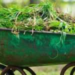 Cero residuos: ¿qué hacer con la poda de las vivácea y con las flores cortadas?