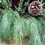 Hacer una jardinera para el invierno con coníferas