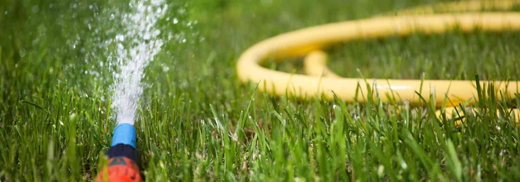 Proteger los sistemas de riego del Gelificantes