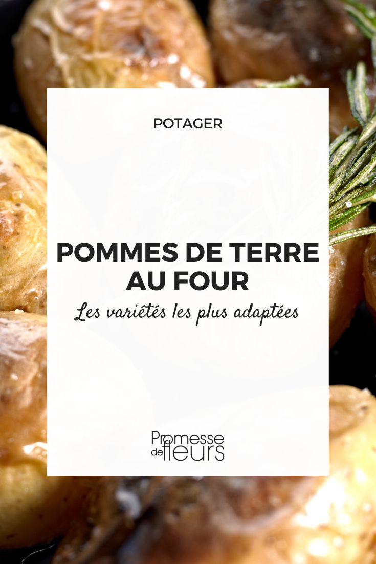 patatas al horno
