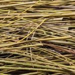 Cero residuos: ¿qué hacer con las ramas en el jardín?