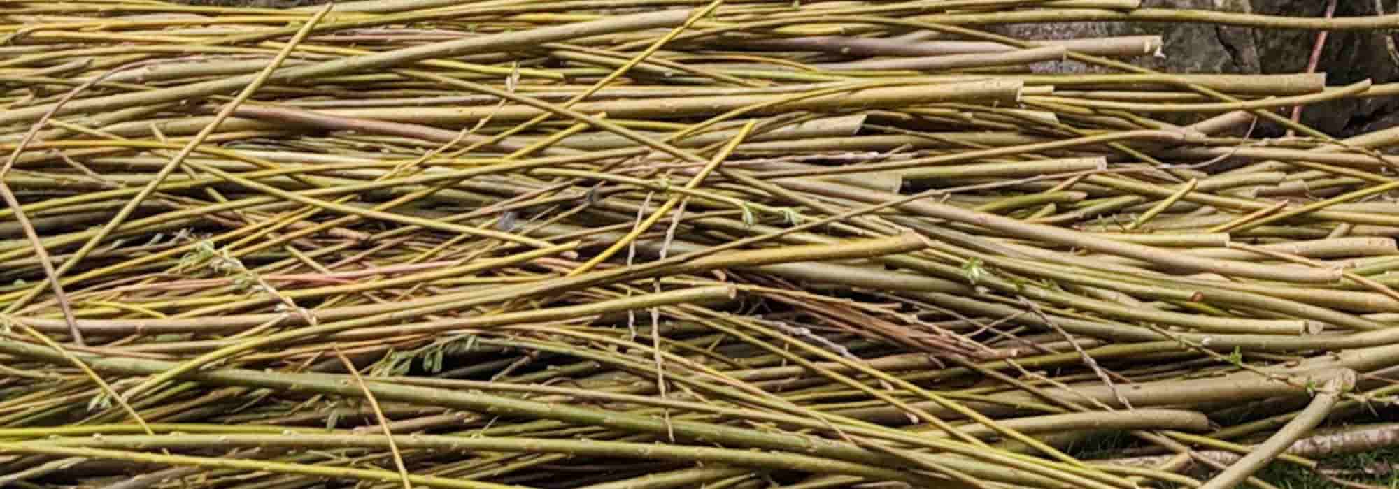 Cero residuos: ¿qué hacer con las ramas en el jardín?