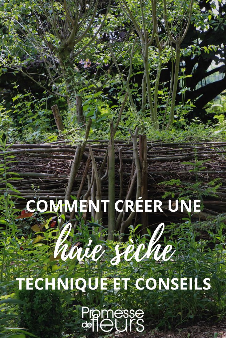 Cómo crear un seto seco