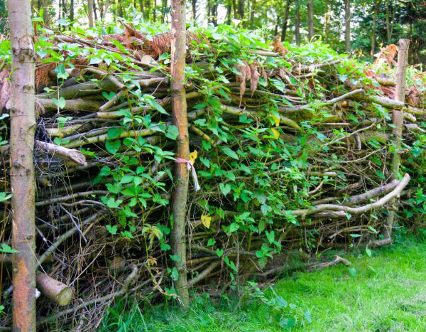 ¿Cómo crear un seto seco?