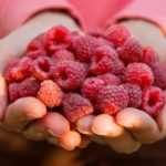 20 Común frambuesa en la prueba: ¡nuestro top 5!