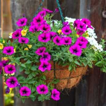 ¿Cómo hacer una suspensión de flores?