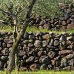 ¿Cómo vestir un muro de contención?