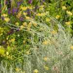 El slow gardening