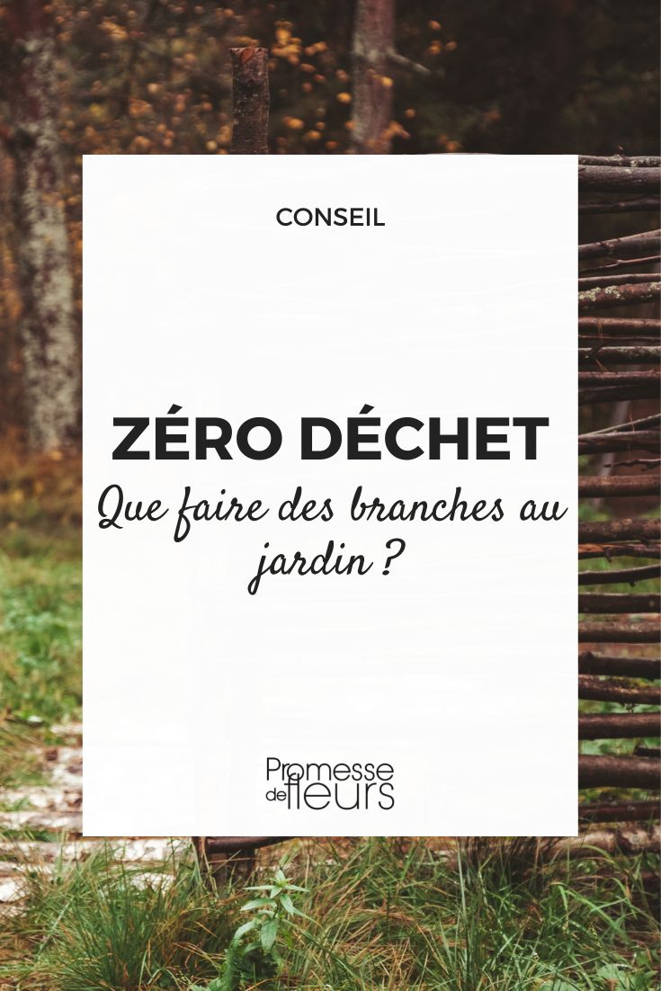 # Cero residuos: ¿Qué hacer con las ramas en el jardín?

Las ramas de poda y los restos de árboles no tienen por qué convertirse en basura. En un enfoque de jardinería sostenible y cero residuos, existen múltiples formas de reutilizar estos valiosos recursos naturales directamente en tu jardín. Aquí te presentamos algunas ideas ecológicas:

## 1. **Mulching o acolchado**
Tritura las ramas más finas para crear un excelente mantillo que:
- Protege el suelo de la erosión
- Mantiene la humedad
- Limita el crecimiento de malas hierbas
- Enriquece el suelo al descomponerse

## 2. **Compostaje**
Las ramas pequeñas y trituradas son un excelente material "marrón" (rico en carbono) para equilibrar tu compost. Alterna capas de ramas trituradas con restos verdes (césped, restos vegetales).

## 3. **Creación de refugios para fauna**
Apila ramas en un rincón del jardín para crear:
- Refugio para erizos, insectos beneficiosos y pequeños reptiles
- Hábitat para aves que buscan material para sus nidos

## 4. **Bordes decorativos**
Usa ramas rectas y resistentes para:
- Delimitar parterres y caminos
- Crear cercas rústicas
- Hacer estructuras para plantas trepadoras

## 5. **Leña y biomasa**
Si tienes chimenea o estufa de leña:
- Seca las ramas adecuadas (como las de frondosas)
- Úsalas como combustible ecológico

## 6. **Triturado para caminos**
Las ramas trituradas crean senderos naturales que:
- Permiten un drenaje excelente
- Son cómodos para caminar
- Dan un aspecto rústico al jardín

## 7. **Arte y decoración jardín**
Deja volar tu creatividad:
- Haz espantapájaros o estructuras decorativas
- Crea maceteros originales
- Fabrica soportes para plantas

Con un poco de imaginación, las ramas de tu jardín pueden tener una segunda vida muy útil, contribuyendo a un ecosistema más rico y reduciendo tu impacto ambiental. ¡La naturaleza no genera residuos, solo transforma!