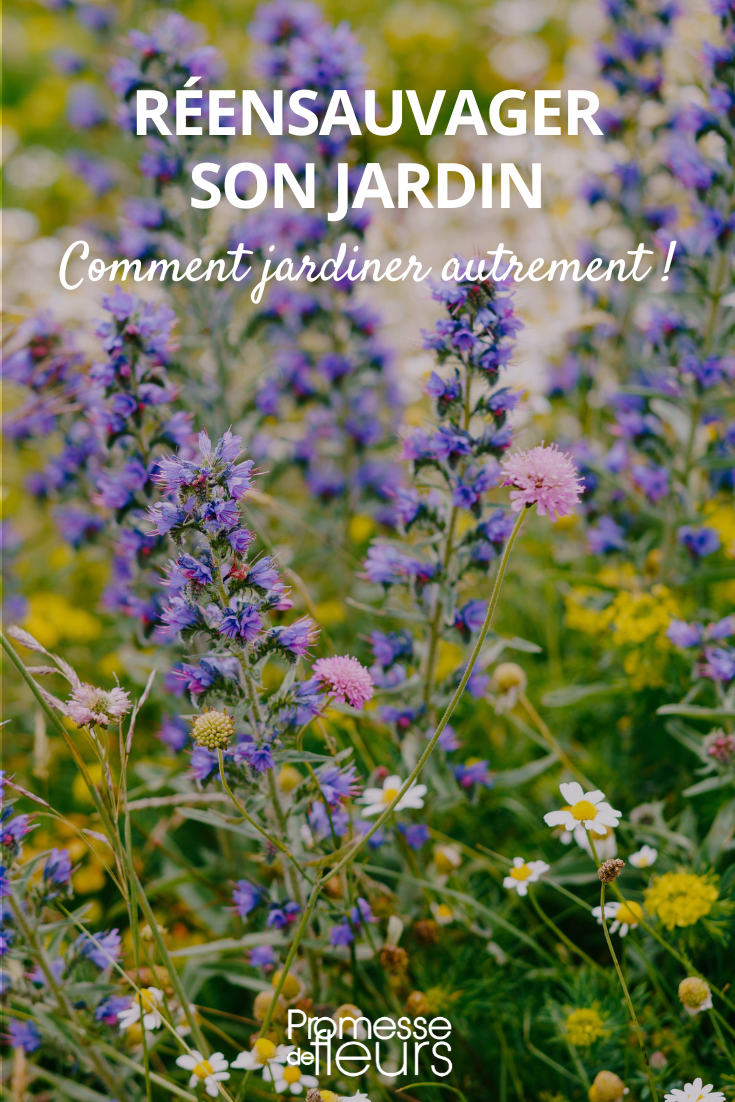 Jardín de renaturalización