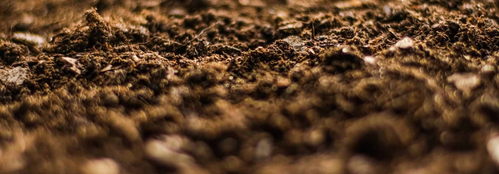 Cuidar su Huerto en primavera