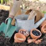 ¿Cómo echar a perder tus siembras en 6 lecciones?