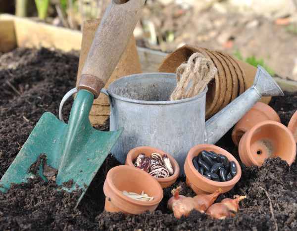 ¿Cómo echar a perder tus siembras en 6 lecciones?