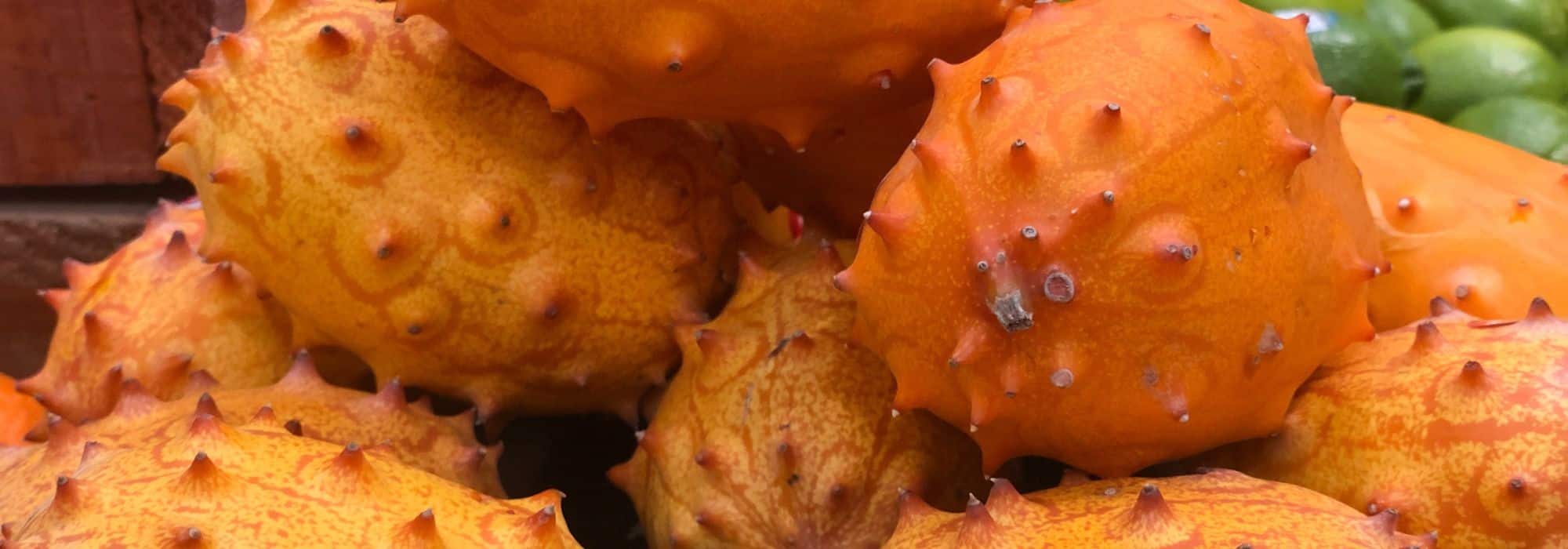 Cultivar el Kiwano