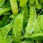 Cultivar guisantes verdes (Pois gourmands o Pois mangetout)