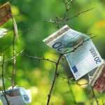 Crear un jardín sin arruinarse