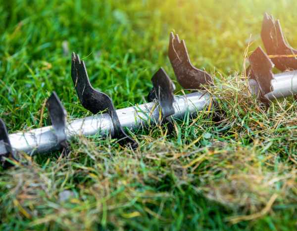 ¿Cómo escarificar el césped?