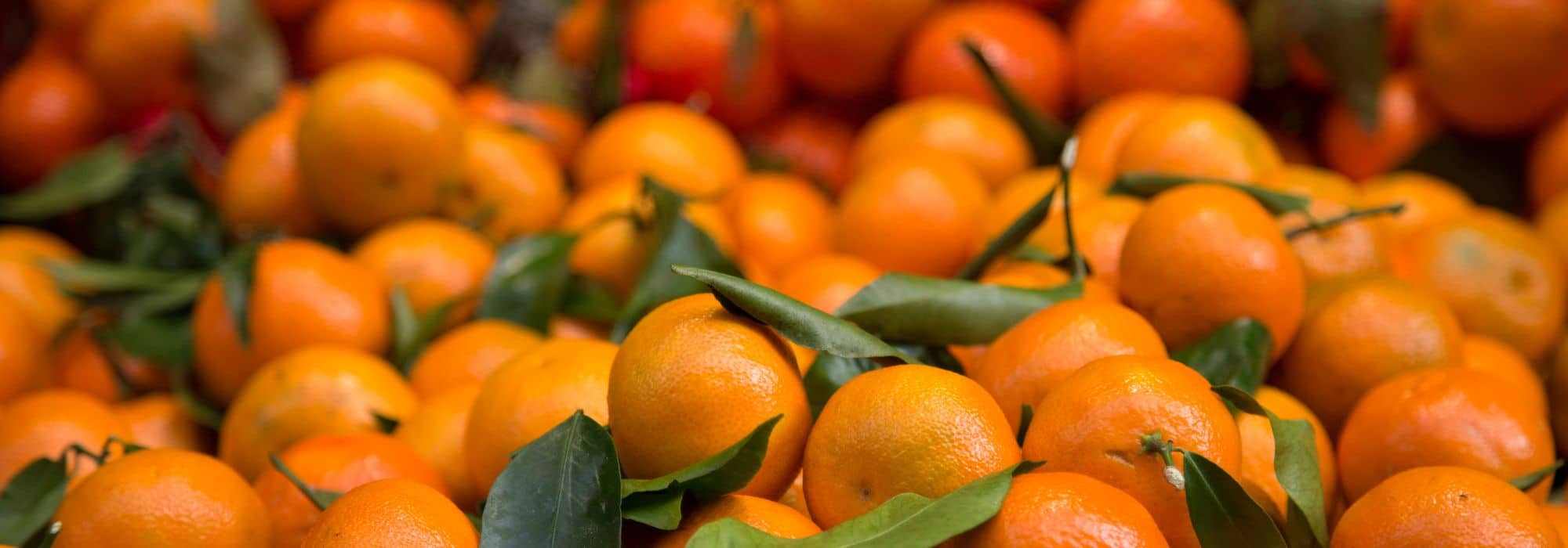¿Cuáles son las diferencias entre la mandarina y la Clementina?