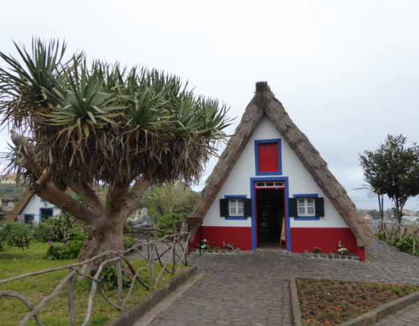 He visitado… Madeira, la isla de las flores