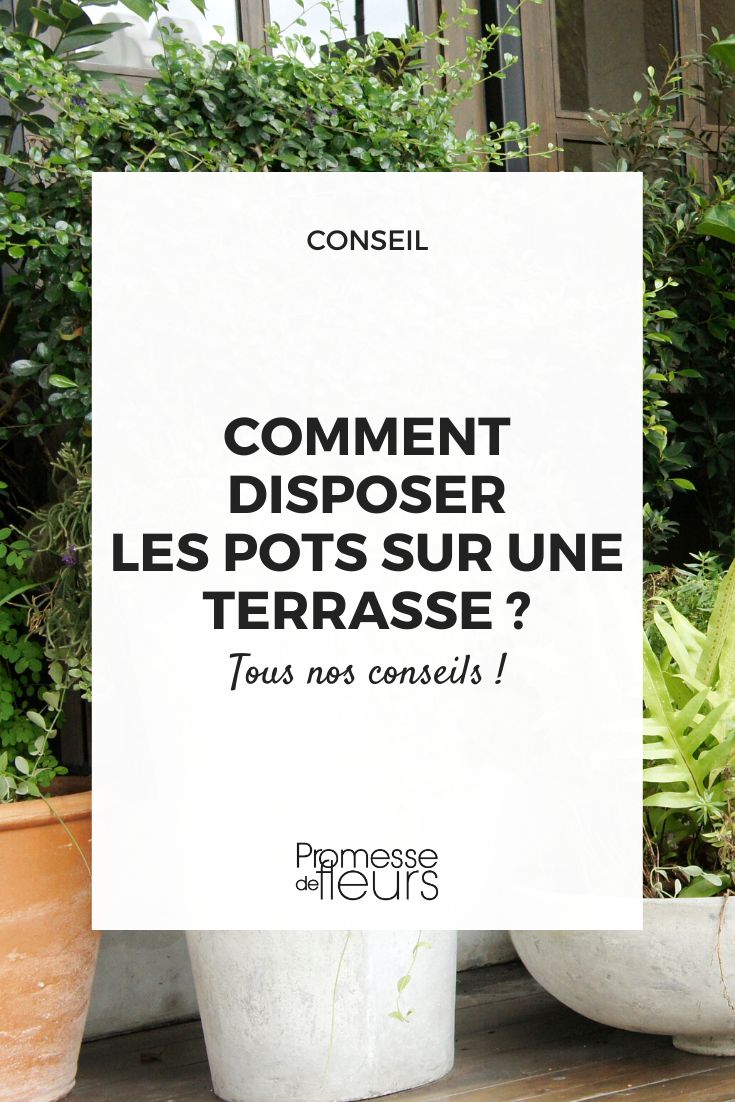 macetas y jardineras para terraza y balcón