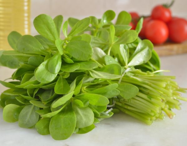 ¿Cómo usar el pourpier en la cocina?