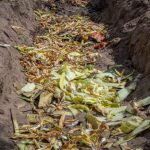 ¿Cómo hacer compost en zanja? Los pasos a seguir