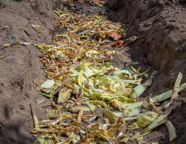¿Cómo hacer compost en zanja? Los pasos a seguir