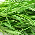 Cultivar la espinaca Acuática