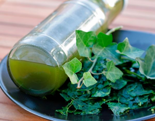 ¿Cómo hacer una colada ecológica y Natural con hiedra?